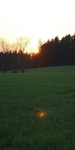 2012 Svojek mirek patek